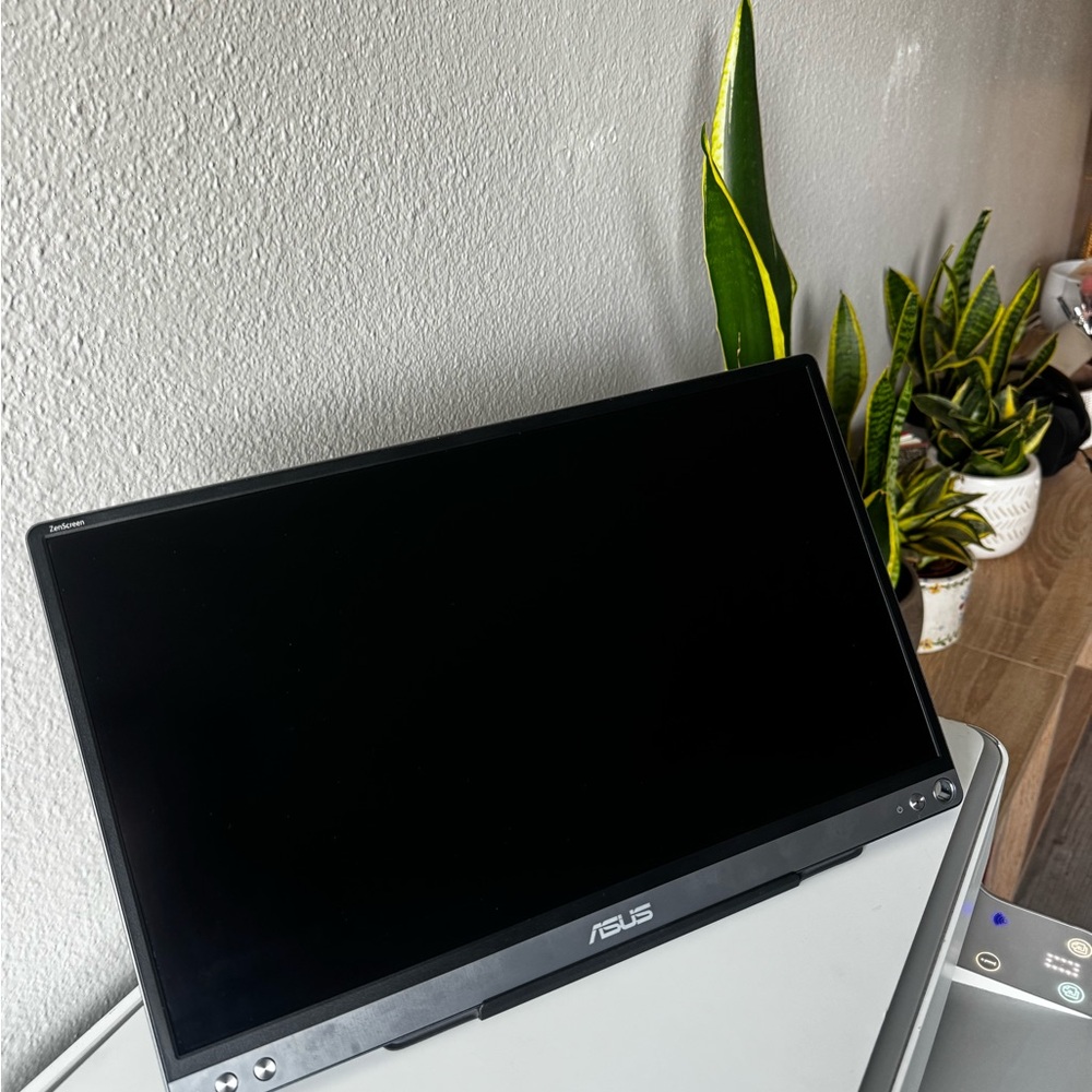 ASUS Black Portable Display